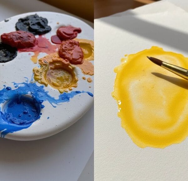 palette moisture impact discussed