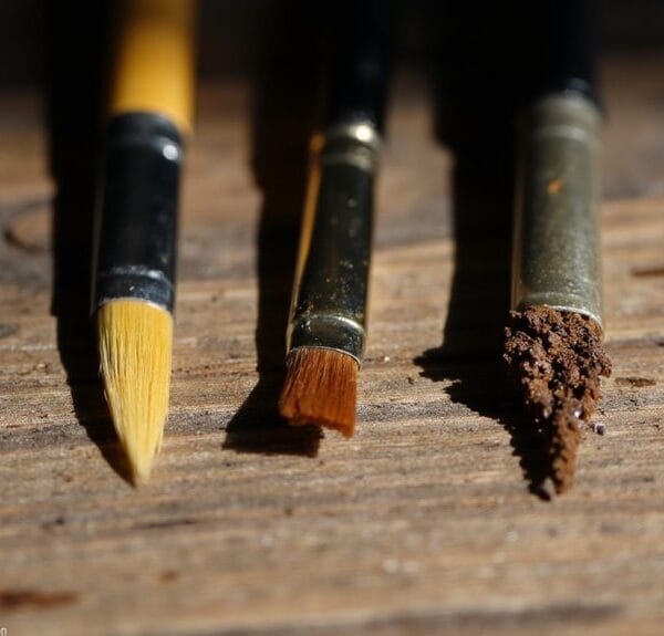 timing for brush replacement